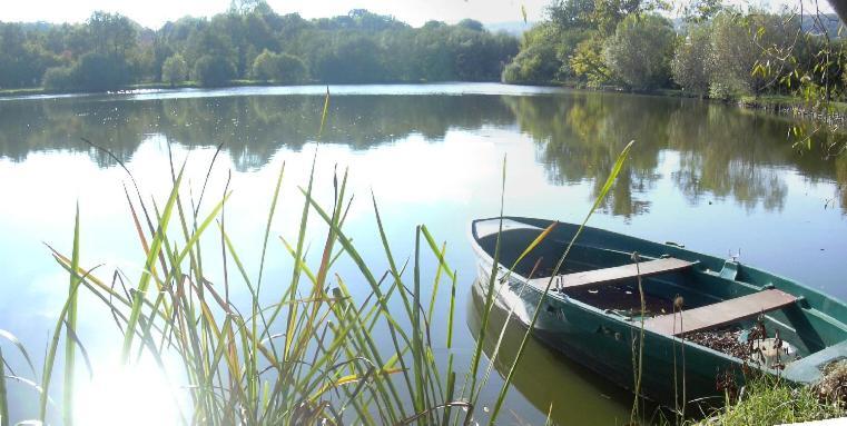 Gite De L'Etang - Parc Des Volcans D'Auvergne Loubeyrat Luaran gambar